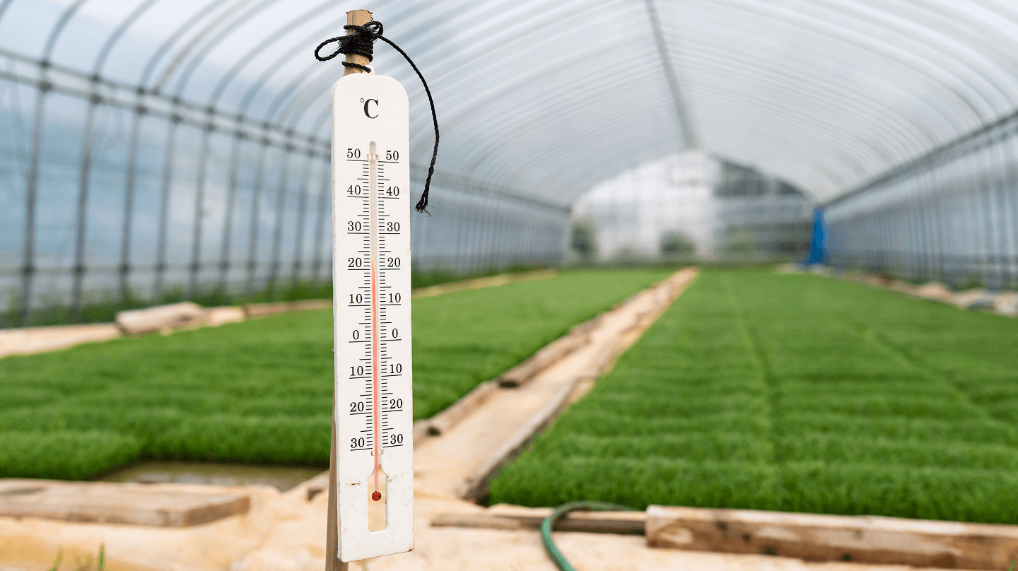 ビニールハウスに最適な温度管理とは？3つの指標と夏・冬場の対策を解説